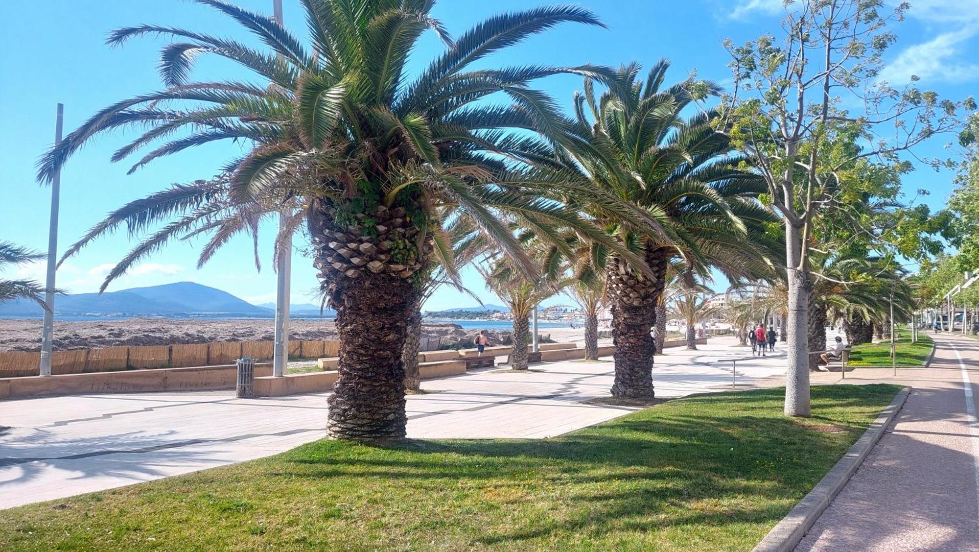 Lovealghero Stanze In Attico Vista Mare Экстерьер фото